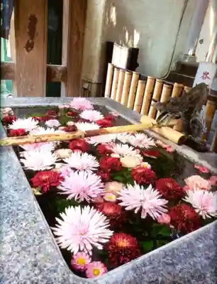 高円寺氷川神社(東京都)