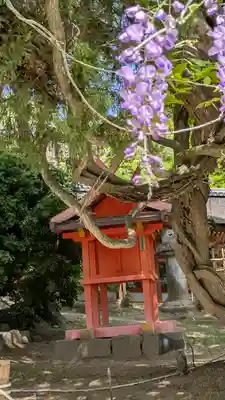 春日大社(奈良県)