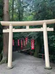 宝登山神社(埼玉県)