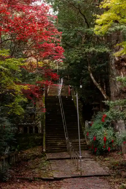 柞原八幡宮(大分県)