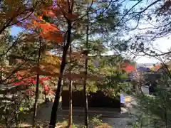 常楽寺(滋賀県)