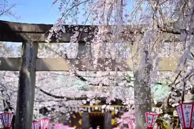 日枝神社(静岡県)