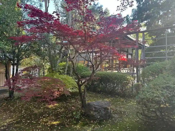 御霊神社(上御霊神社)(京都府)