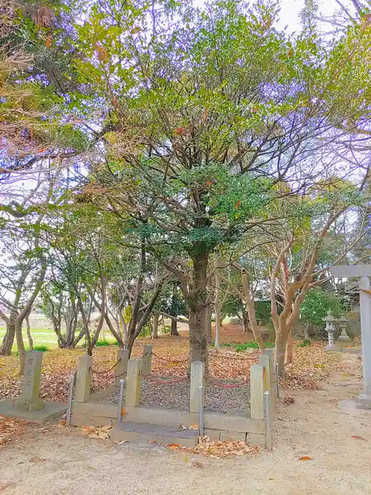 天満神社の自然
