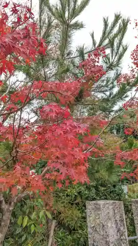 鍬山神社(京都府)