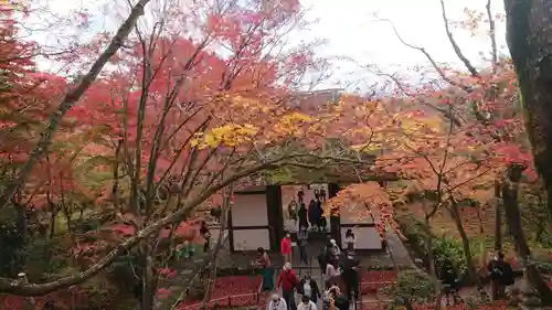 常寂光寺のその他建物