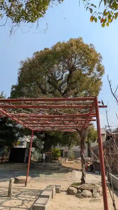 高浜神社(大阪府)