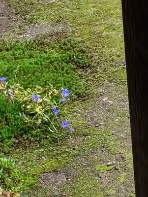 曼殊院門跡(京都府)