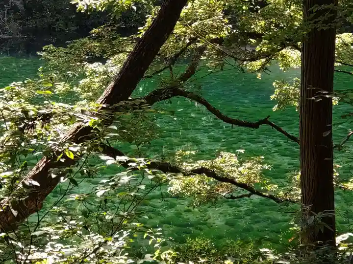 龍ヶ窪神社(新潟県)