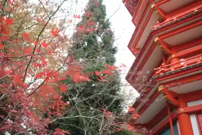 金乗院放光寺のその他建物