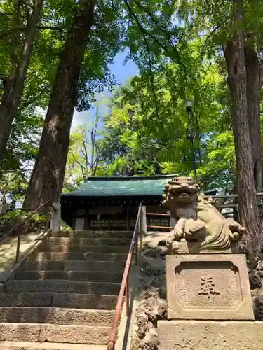 三宿神社の狛犬