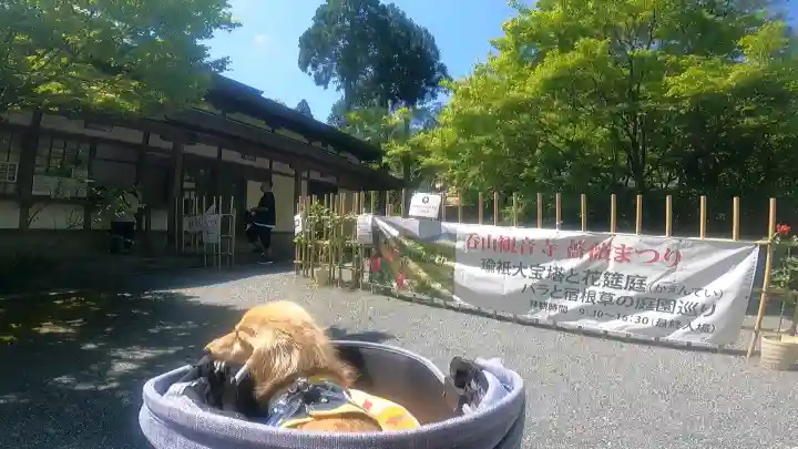 呑山観音寺(福岡県)