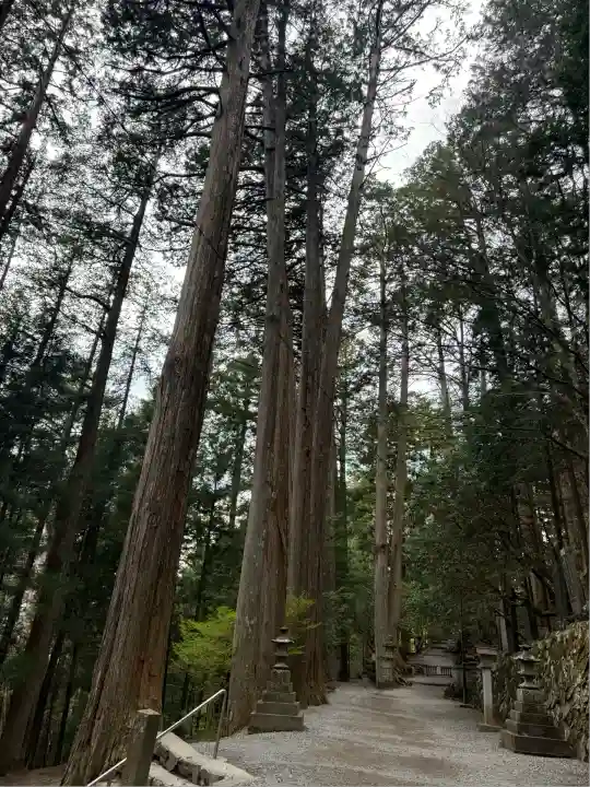 三峯神社(埼玉県)