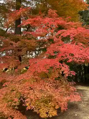 胡宮神社(敏満寺史跡)の自然