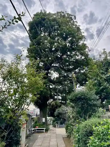 佛心寺(東京都)