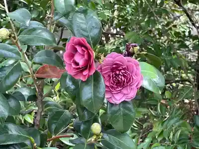 城南宮(京都府)