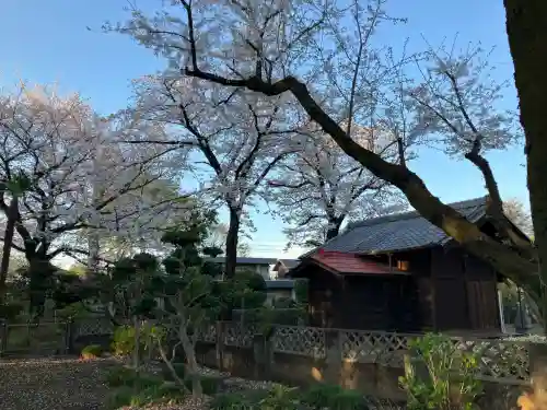 日枝神社(東京都)