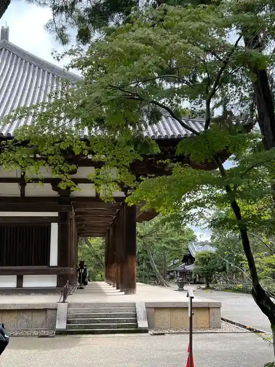 唐招提寺(奈良県)