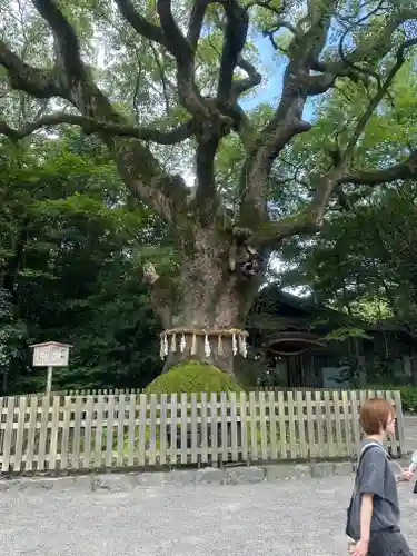熱田神宮(愛知県)