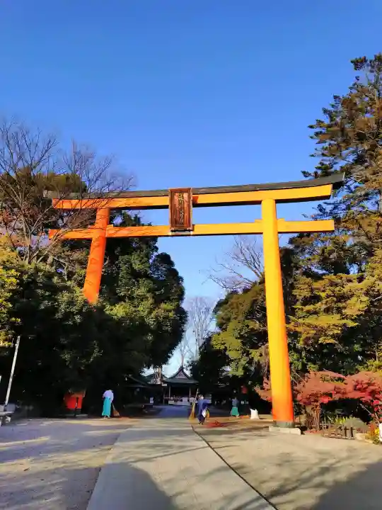 川越氷川神社(埼玉県)