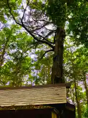 鹿島神社(茨城県)