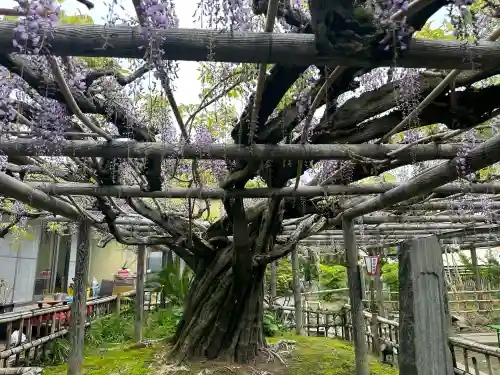 行興寺(静岡県)