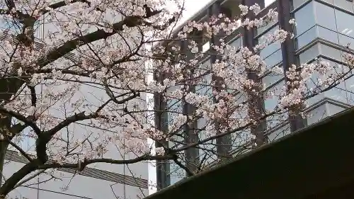 芝大神宮の自然