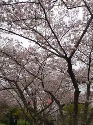 隅田八幡神社(和歌山県)