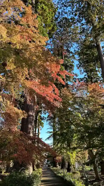 八幡宮(茨城県)