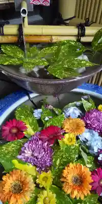 多賀神社の手水舎