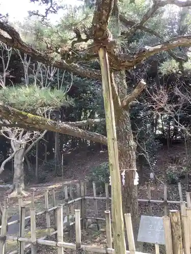 玉鉾神社の自然