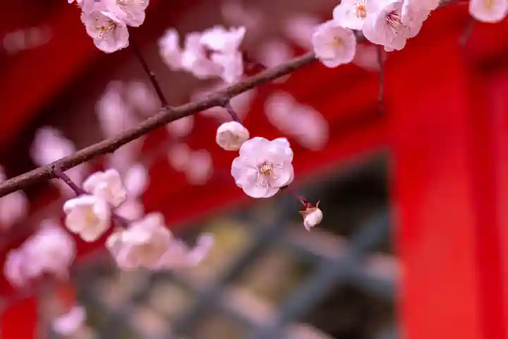 筥崎宮(福岡県)