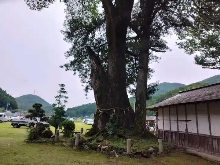 天引八幡神社(京都府)