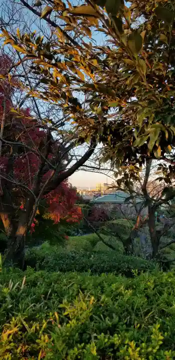 題経寺(柴又帝釈天)の自然