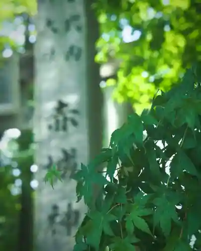 赤城神社(群馬県)