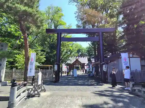 旭川神社の鳥居