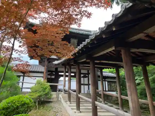 東福禅寺（東福寺）(京都府)