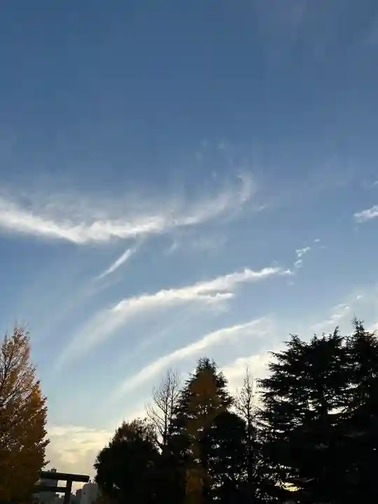 浅草神社の自然