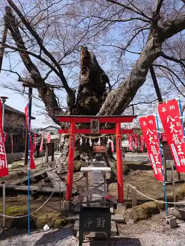 秩父今宮神社の自然