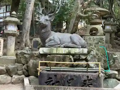 春日大社の{uncategorized: "未分類", other: "その他", undefined: "問題あり", building: "その他建物", grave: "お墓", sacred_gate: "鳥居", guardian: "狛犬", statue: "像", buddha: "仏像", history: "歴史", nature: "自然", garden: "庭園", animal: "動物", pagoda: "塔", temizu: "手水舎", mountain_gate: "山門・神門", sanctuary: "本殿・本堂", subordinate: "末社・摂社", art: "芸術", scenery: "景色", jizo: "地蔵", ema: "絵馬", goshuin: "御朱印", omikuji: "おみくじ", items: "授与品その他", amulet: "お守り", goshuincho: "御朱印帳", eats: "食事", festival: "お祭り", votive_dance: "神楽", shichigosan: "七五三参", wedding: "結婚式", experience: "体験その他", initially: "初詣", around: "周辺", anti_infection: "感染症対策"}