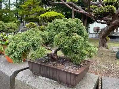 浜頓別神社(北海道)