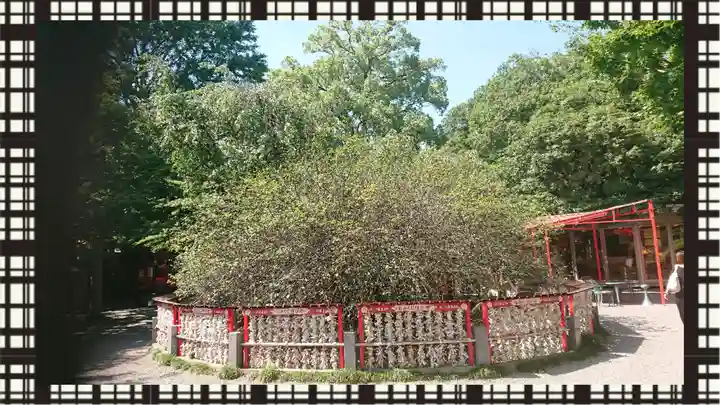 冠稲荷神社(群馬県)