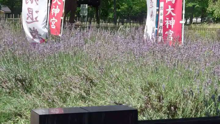櫻岡大神宮の庭園