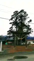 水分神社の鳥居