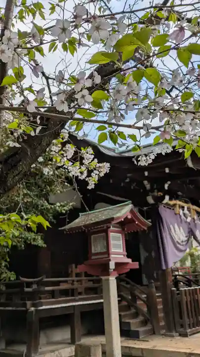 離宮八幡宮(京都府)