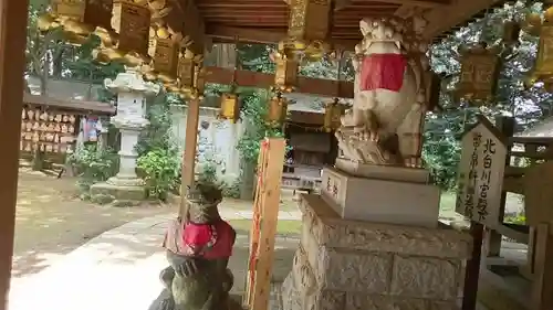 大宝八幡宮の狛犬