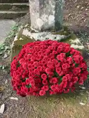 大宮温泉神社の自然