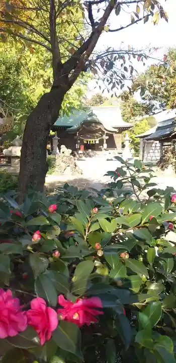 菊田神社の自然