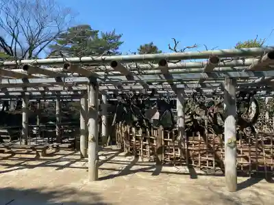 越ヶ谷久伊豆神社の{uncategorized: "未分類", other: "その他", undefined: "問題あり", building: "その他建物", grave: "お墓", sacred_gate: "鳥居", guardian: "狛犬", statue: "像", buddha: "仏像", history: "歴史", nature: "自然", garden: "庭園", animal: "動物", pagoda: "塔", temizu: "手水舎", mountain_gate: "山門・神門", sanctuary: "本殿・本堂", subordinate: "末社・摂社", art: "芸術", scenery: "景色", jizo: "地蔵", ema: "絵馬", goshuin: "御朱印", omikuji: "おみくじ", items: "授与品その他", amulet: "お守り", goshuincho: "御朱印帳", eats: "食事", festival: "お祭り", votive_dance: "神楽", shichigosan: "七五三参", wedding: "結婚式", experience: "体験その他", initially: "初詣", around: "周辺", anti_infection: "感染症対策"}