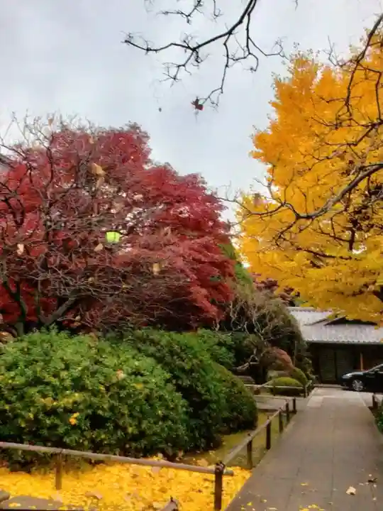 高円寺(東京都)